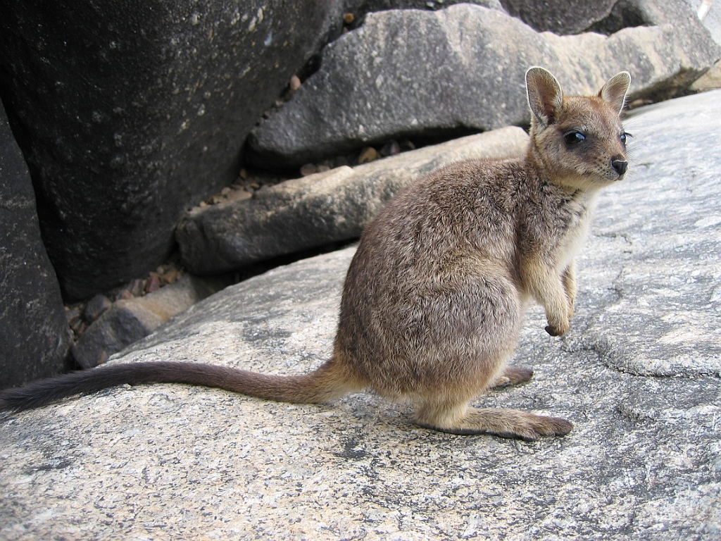 127 Granite Gorge.jpg